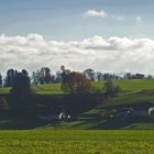 Nachmittagsstimmung im Bucheggberg