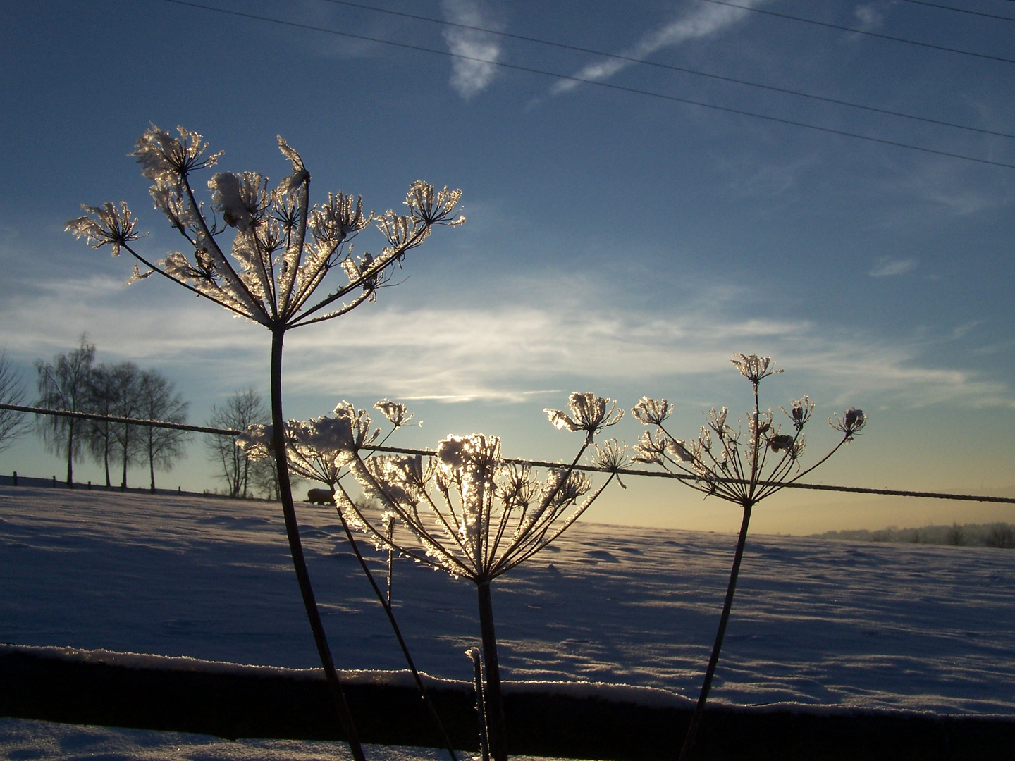 Nachmittagsstimmung im Schnee