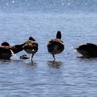 Nachmittagsstimmung im September am Ammersee