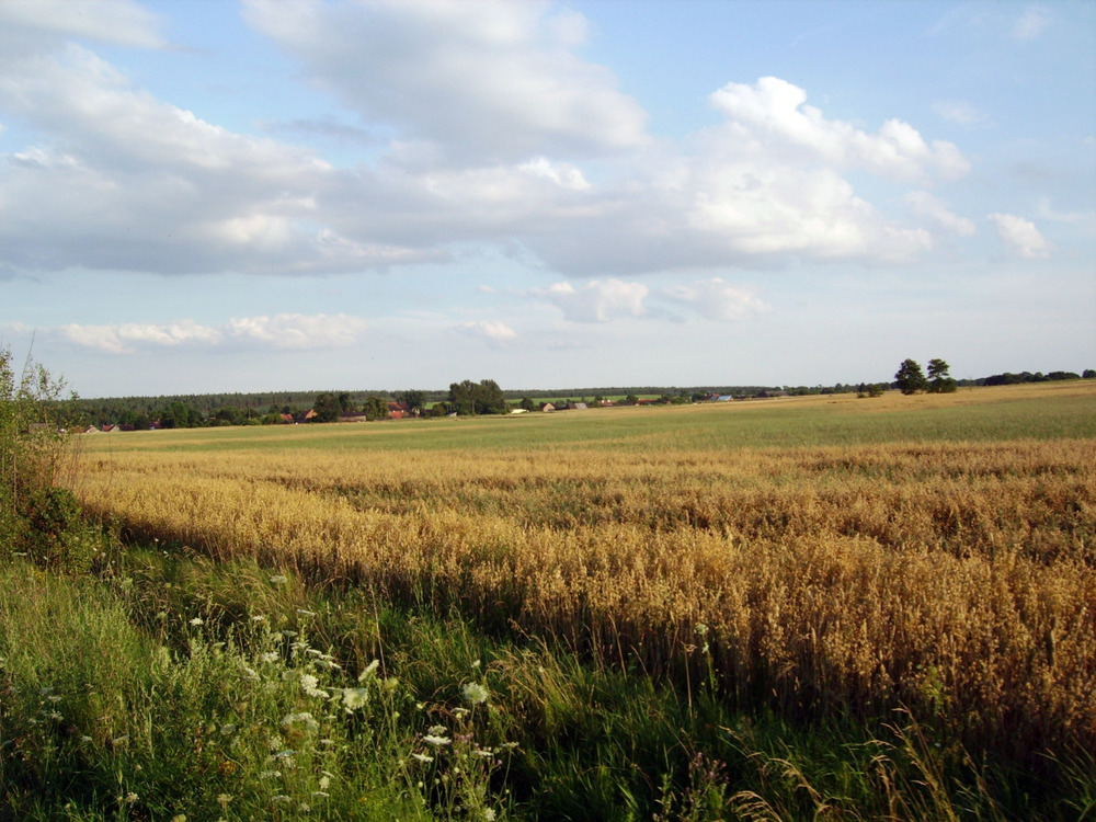 Nachmittagsstimmung in den Masuren