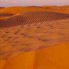 Nachmittagsstimmung tunesische Wüste
