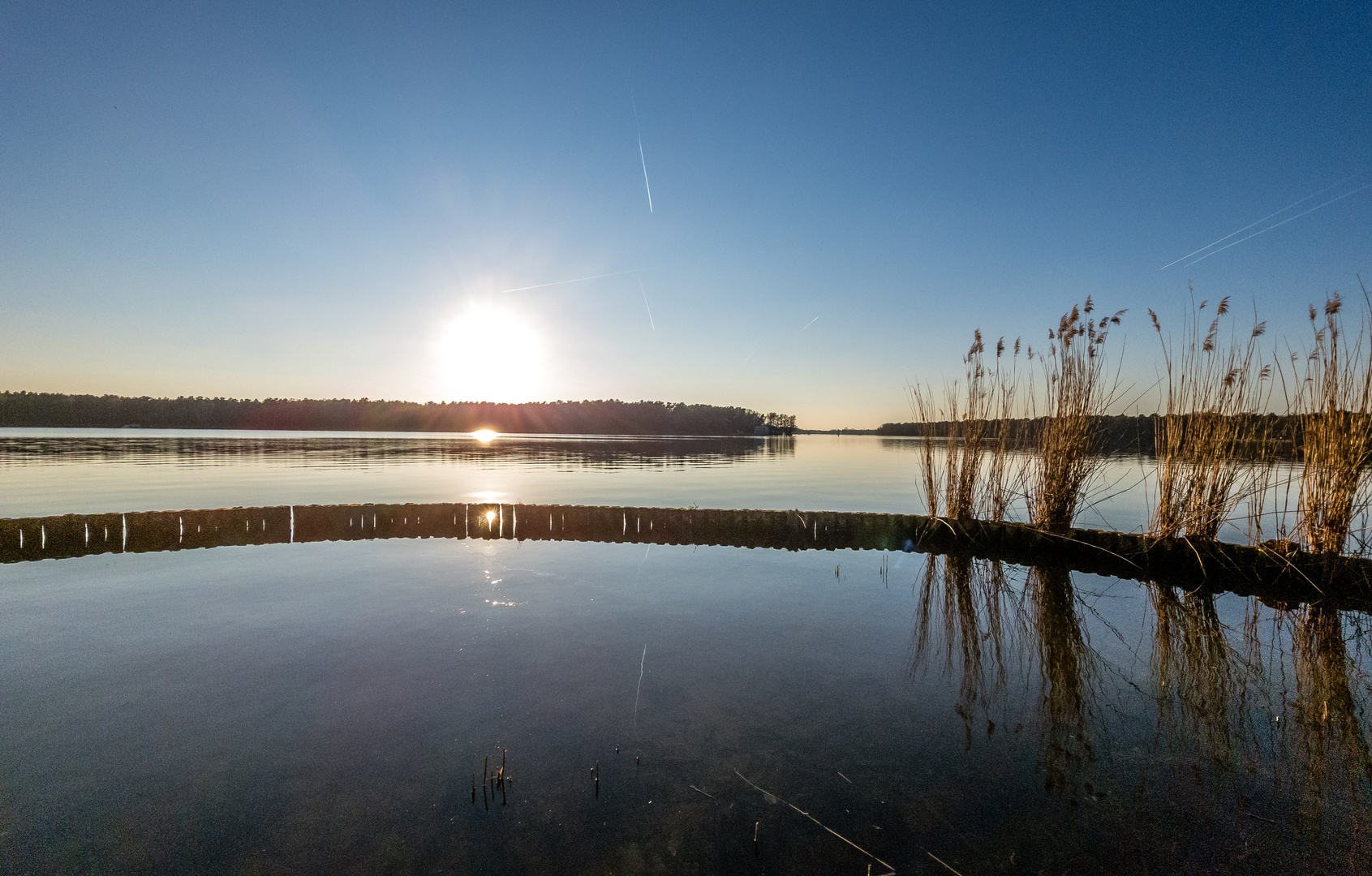 Nachmittagsszene am Langen See