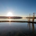 Nachmittagsszene am Langen See