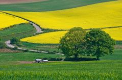 Nachruf auf den Frühling 2007 -1-