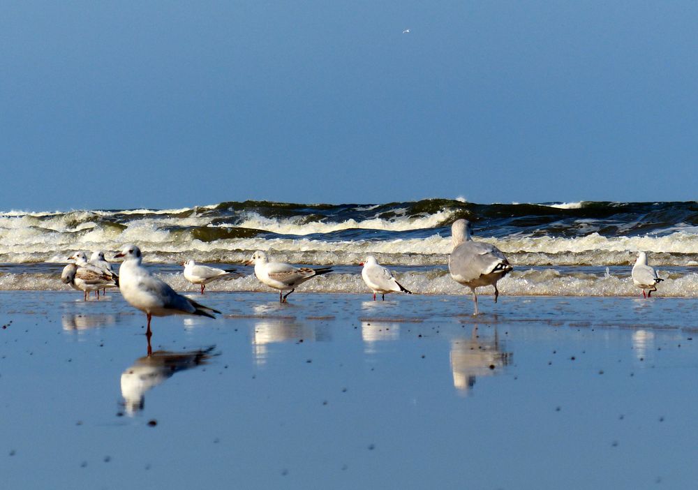 Nachsaison an der Ostsee III.