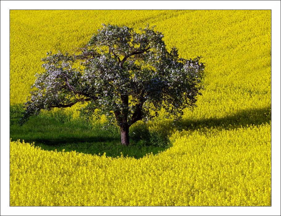 Nachschlag