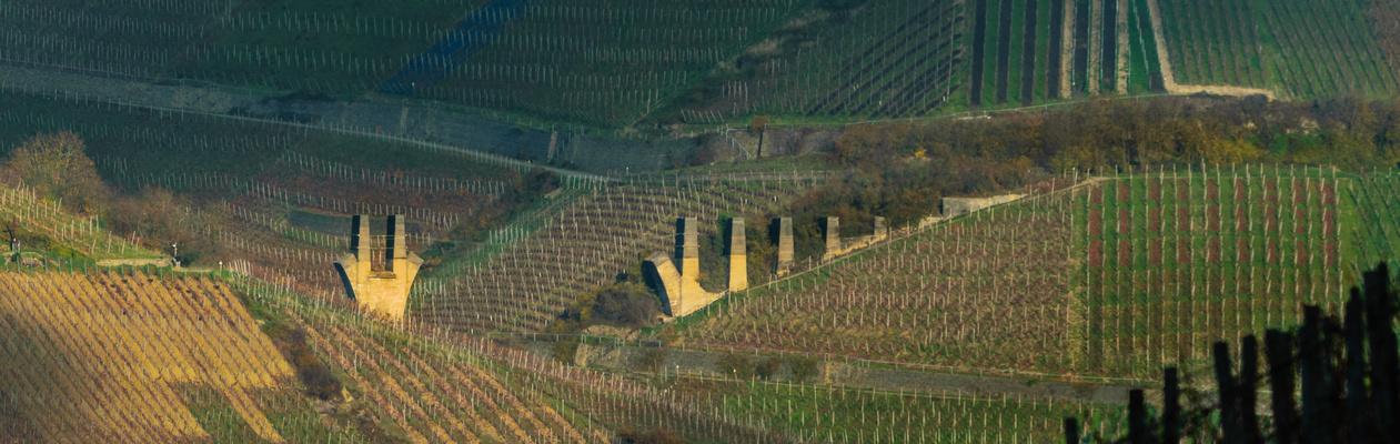 Nachschub durch die Weinberge oder die Unvollendete 