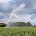 Nachschub für die Wolken ?