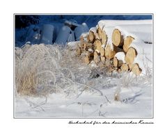 Nachschub für´n Kamin