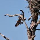 Nachschub im Anflug