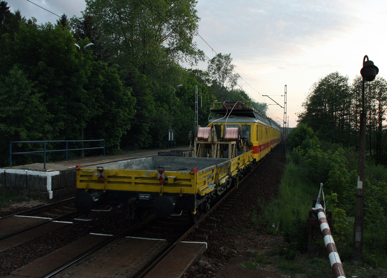 Nachschuss auf einen Rundkopf