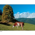 Nachsommer in den Schladminger Tauern