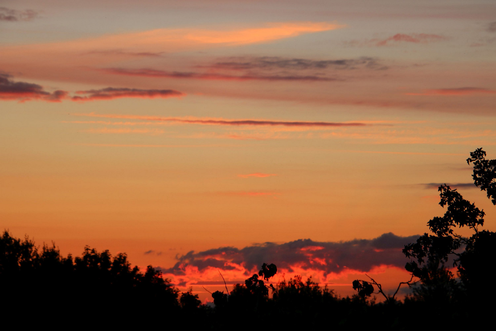 Nacht am Okavango