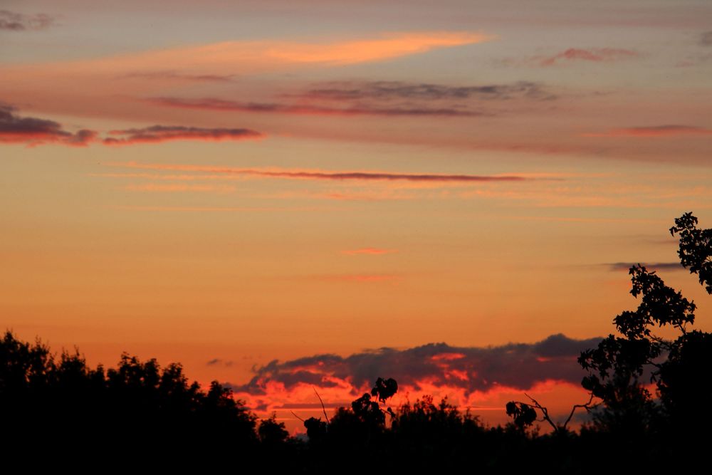 Nacht am Okavango