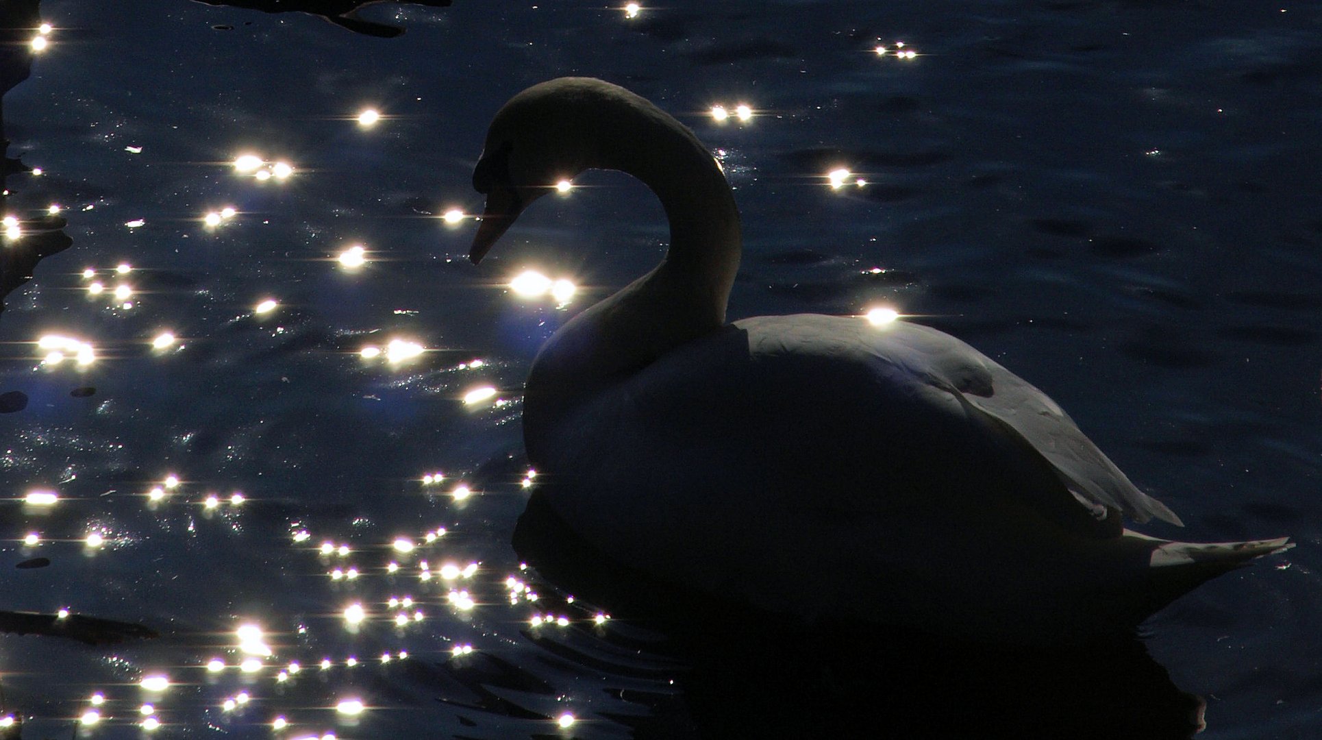 Nacht am See