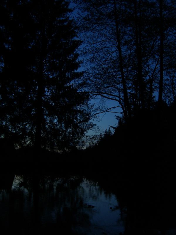 Nacht am See