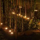Nacht der Lichter im Botanischen Garten