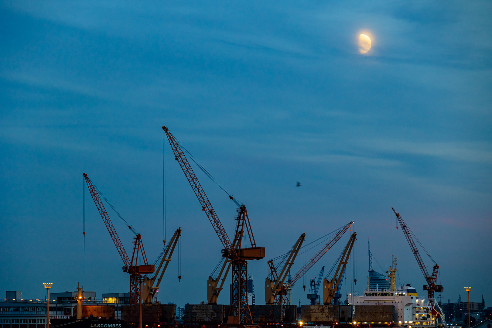 Nacht im Hafen