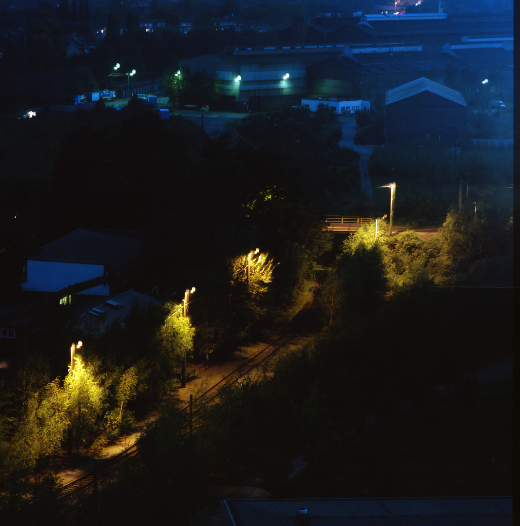 Nacht im Lanschaftspark von oben