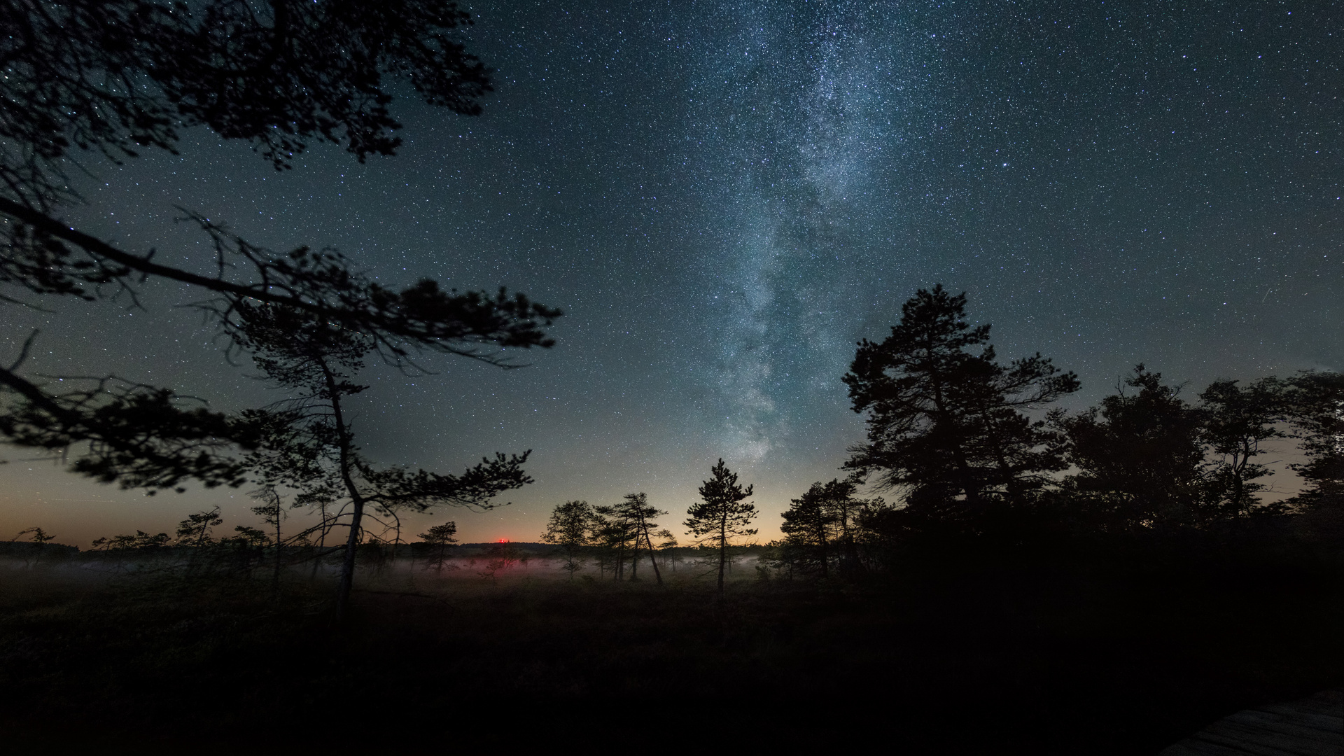 Nacht im Moor