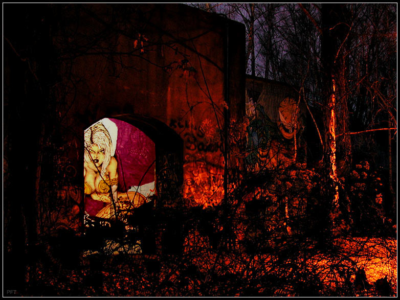 Nacht im Naturpark Südgelände in Schöneberg