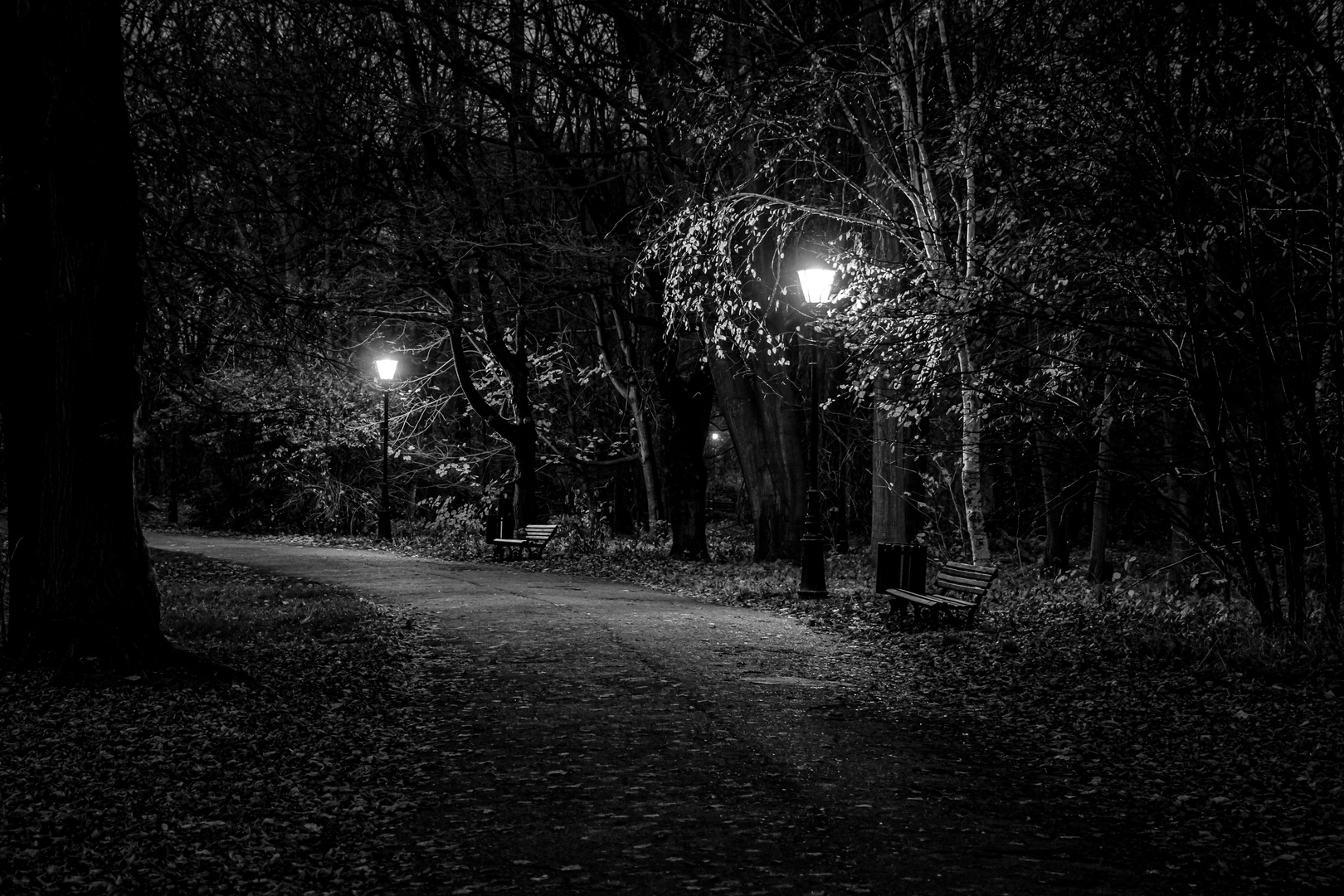 Nacht im Park