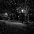 Nacht im Park