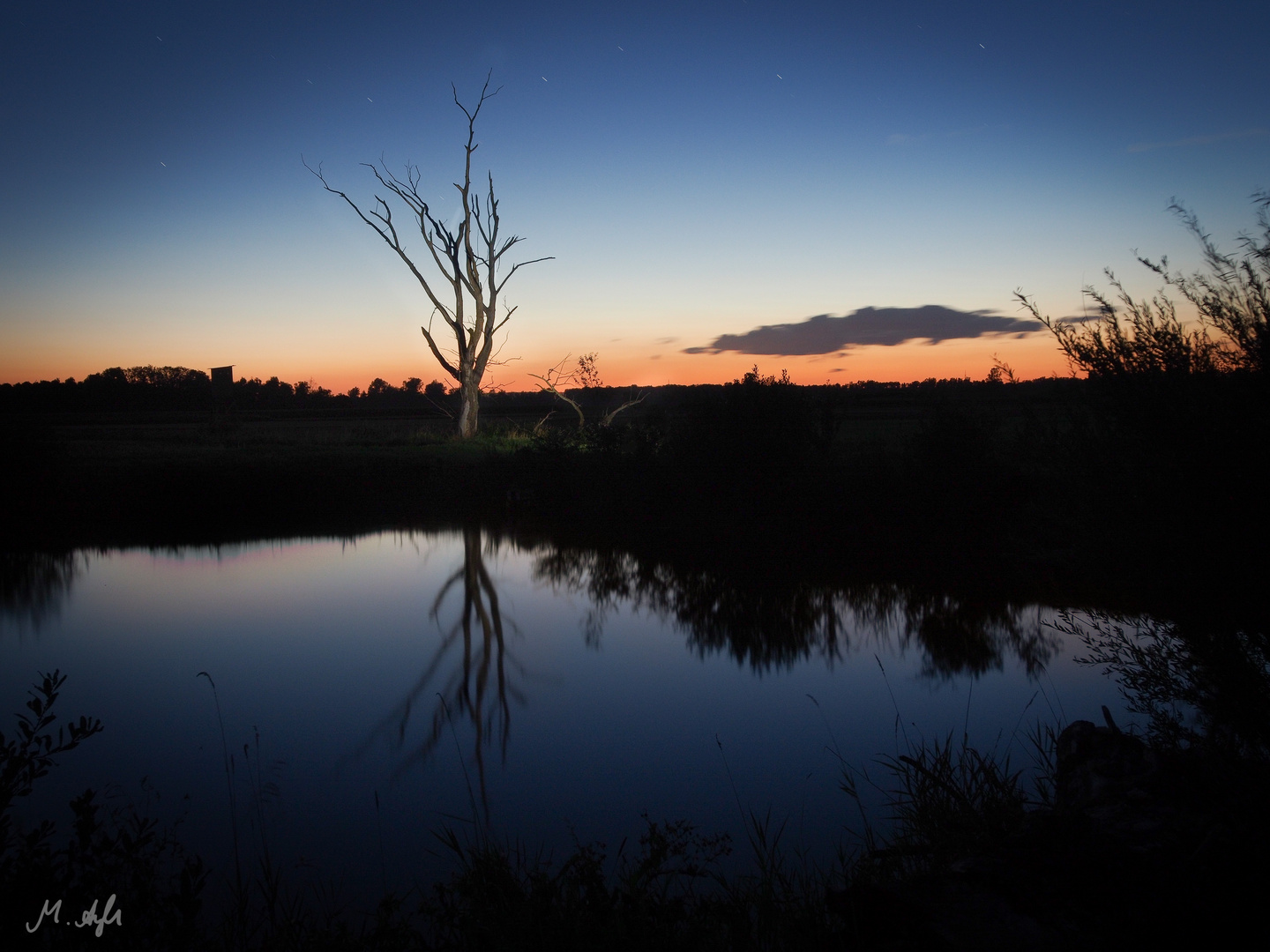 Nacht im Ried