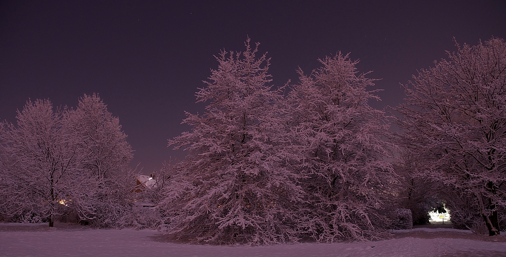 Nacht im Schnee 2