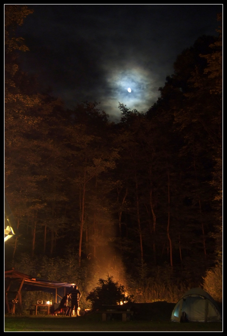 Nacht im Wald.