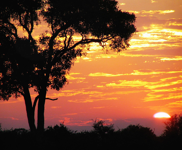 Nacht in Afrika