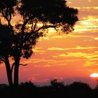 Nacht in Afrika