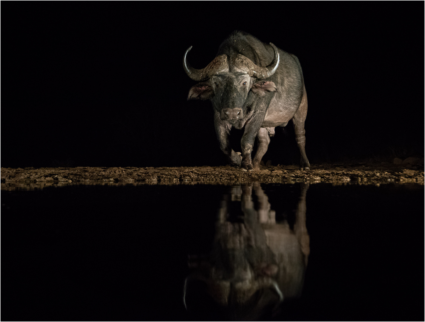 Nacht in Afrika