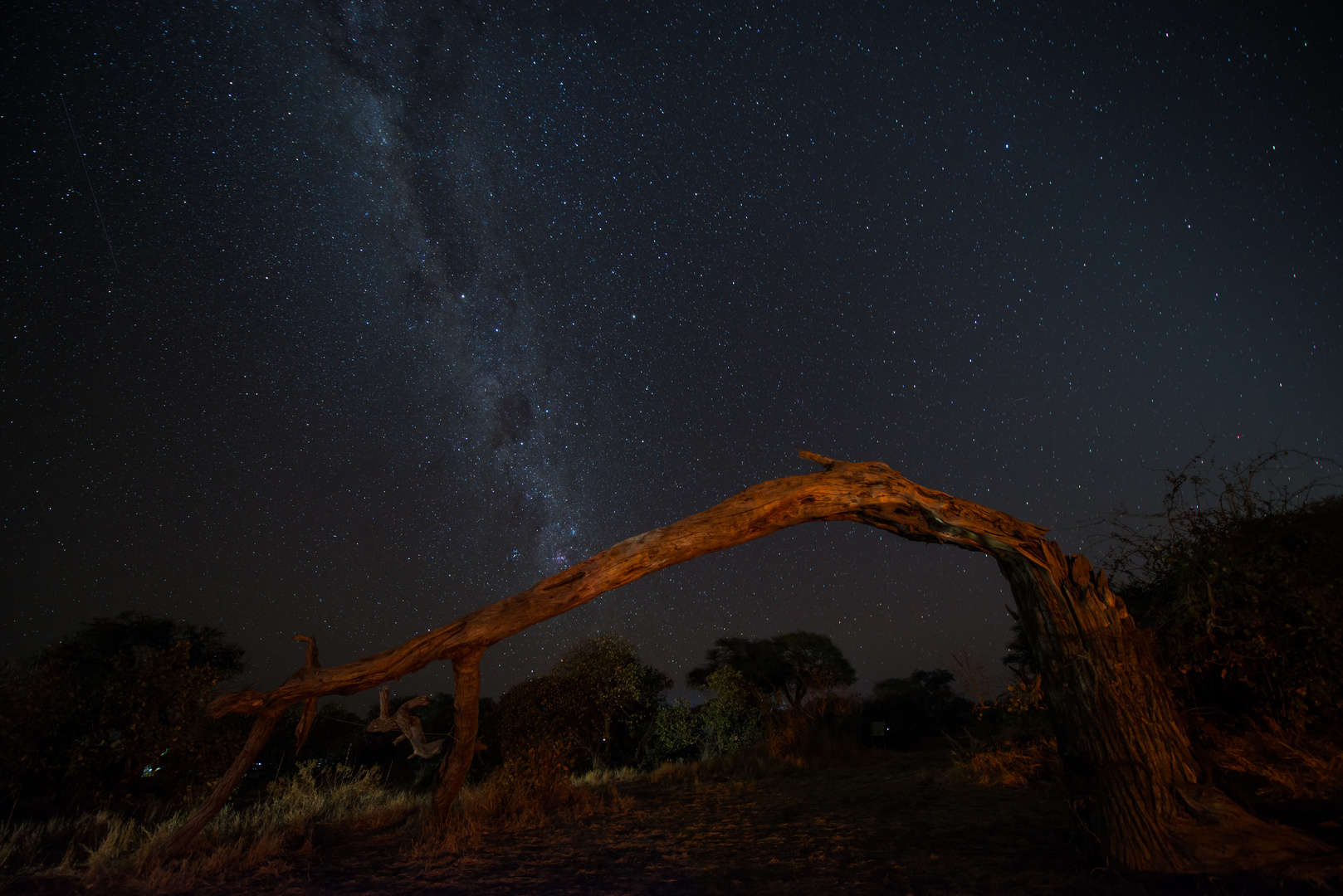 Nacht in Afrika