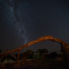Nacht in Afrika