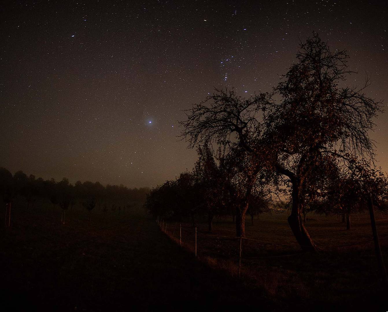 ***  Nacht in den Streuobstwiesen   ***