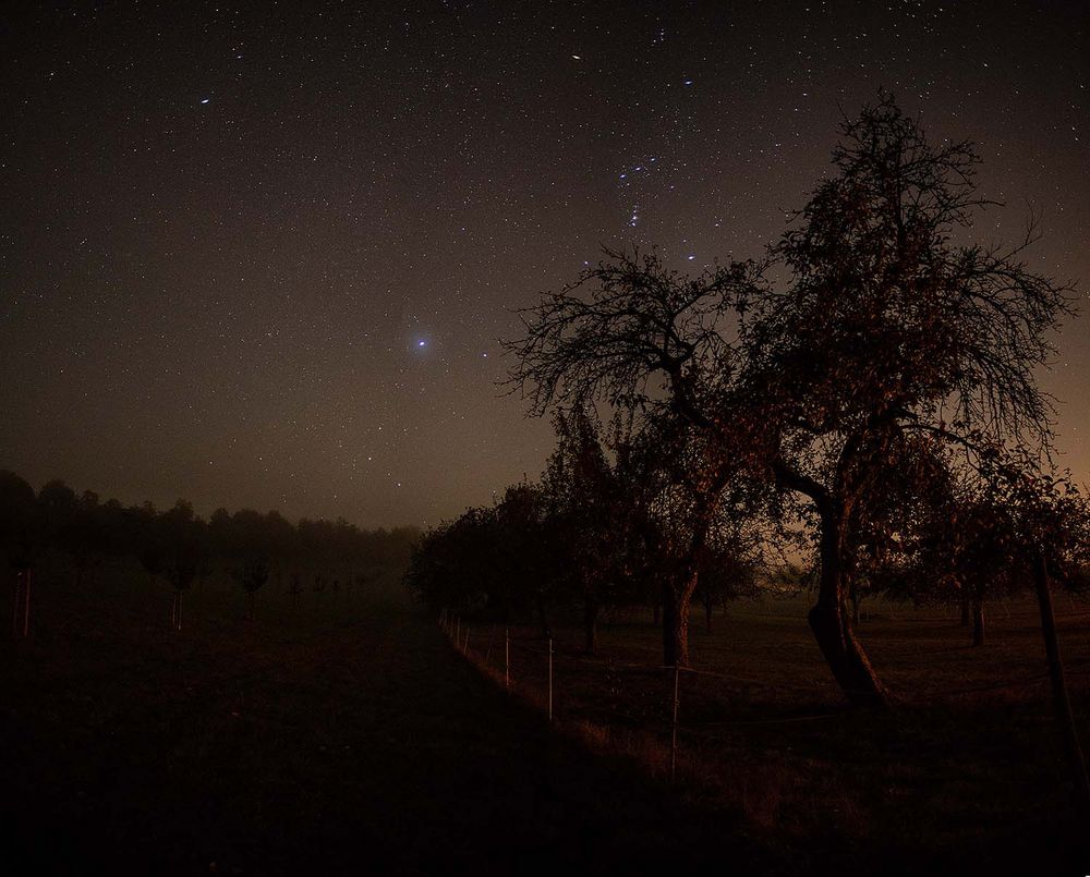 ***  Nacht in den Streuobstwiesen   ***