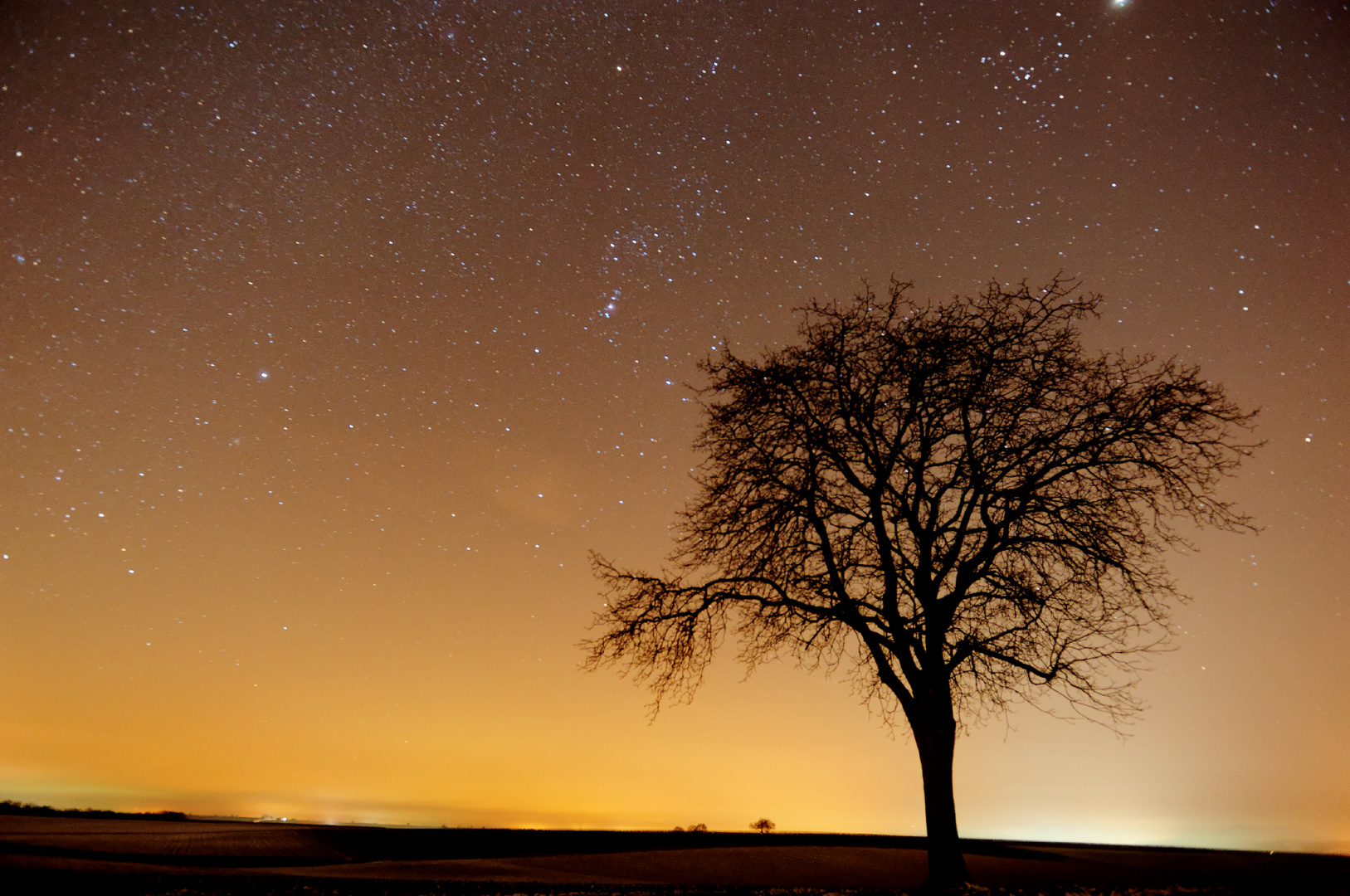 Nacht in der Pfalz 1