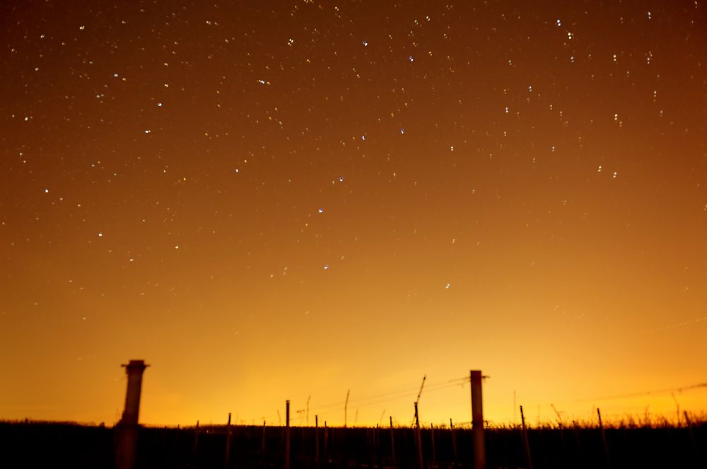 Nacht in der Pfalz