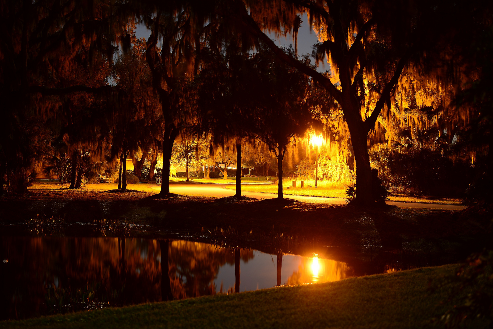 Nacht in FL.