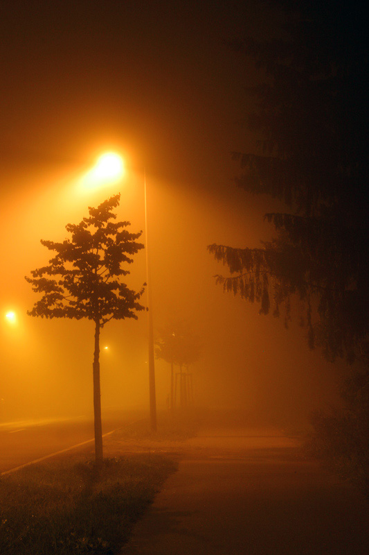 Nacht Nebel