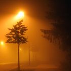 Nacht Nebel