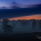 Nacht & Nebel