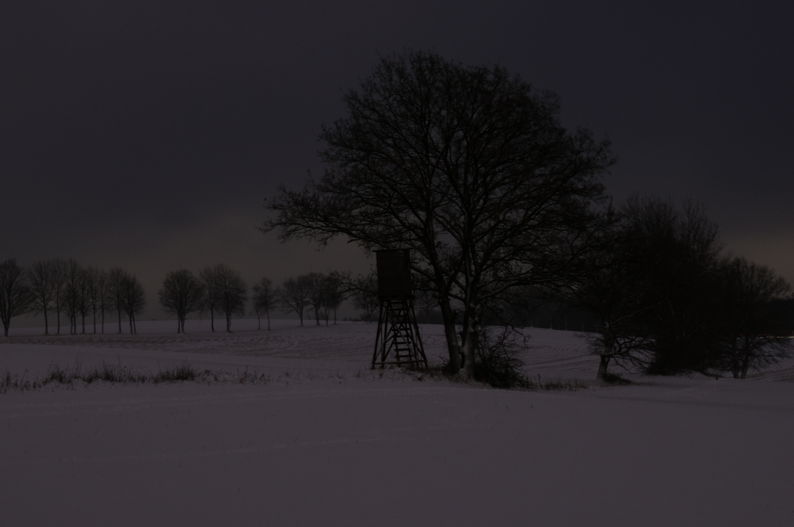 Nacht über dem Feld