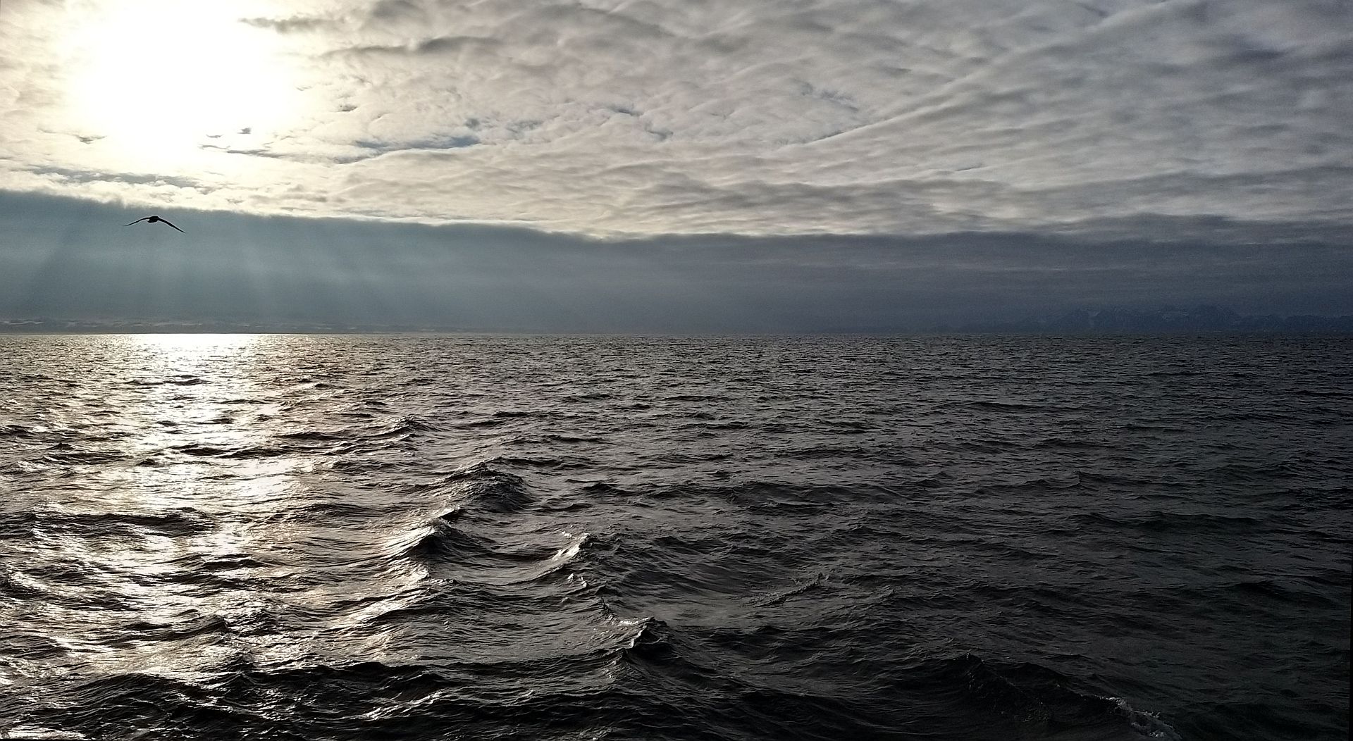 Nacht um 23:30 Uhr nördlich Spitzbergen