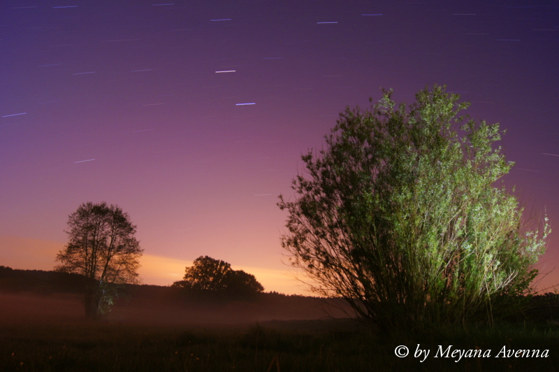 Nacht und Nebel