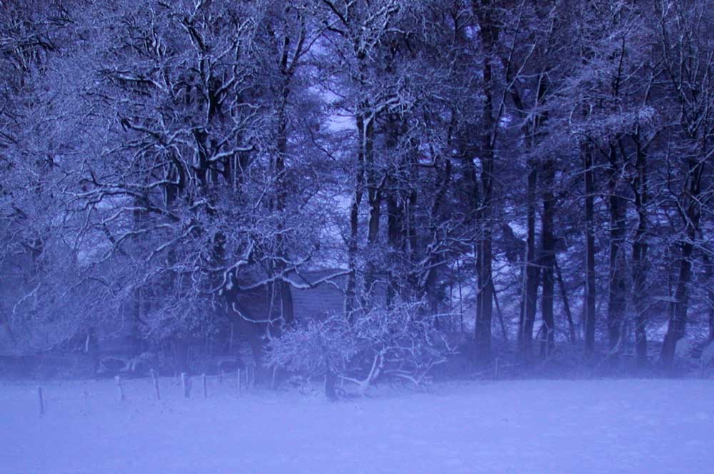 Nacht und Nebel