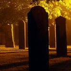 Nacht-und-Nebel-Friedhofsausflug #2