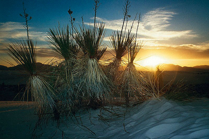 Nachtanbruch in den White Sands