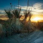 Nachtanbruch in den White Sands